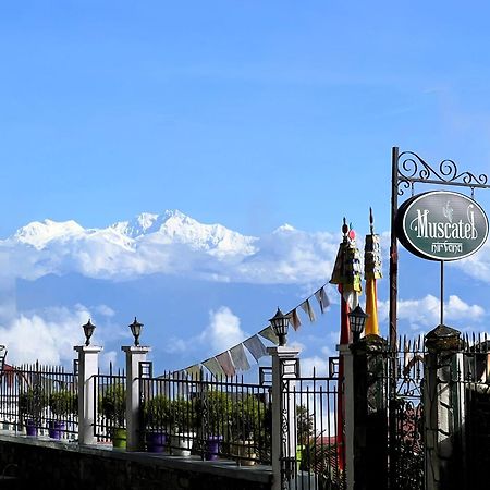 Muscatel Nirvana - At The Mall Road Darjeeling  Dış mekan fotoğraf